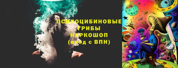 шишки Ростов