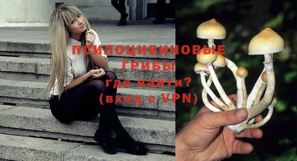 гидропоника Арсеньев